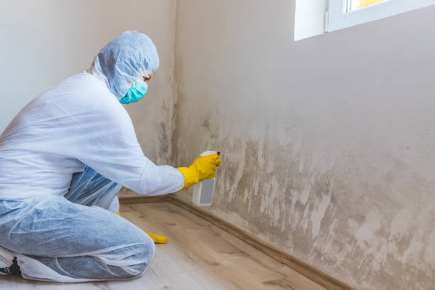 Licensed Commercial Mold Remediation service in Phoenix, NY - WQB Mold Removal