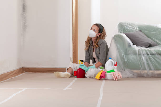 Reliable Commercial Mold Remediation contractor in Phoenix, NY by WQB Mold Removal